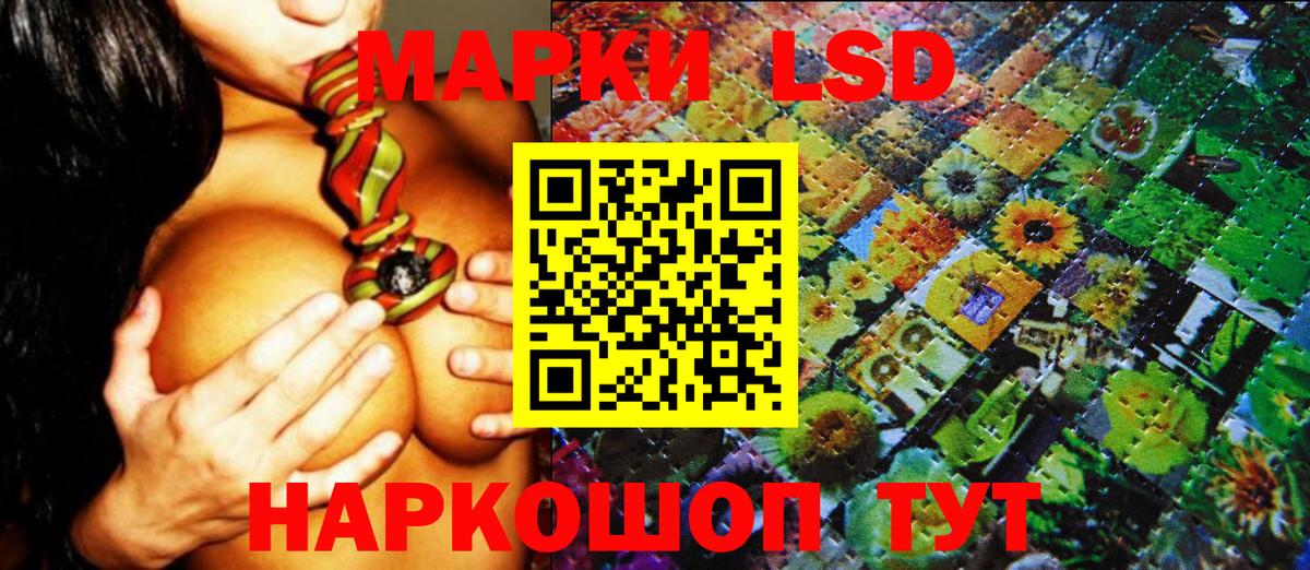 Наркотические марки 1,8мг  Наркотические марки 1,8мг  Вход с VPN  Новошахтинск 
