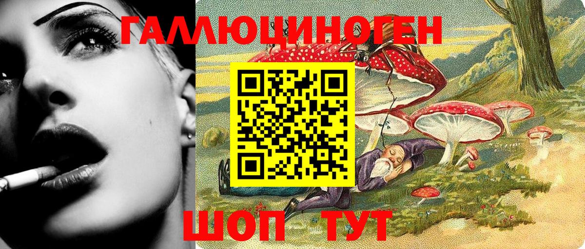 Новошахтинск  Галлюциногенные грибы Psilocybe  Вход с VPN  Галлюциногенные грибы Psilocybe 